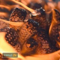 Maister BBQ Grillkolben 6er-Pack (18 Kg) -Angebote Kamdi24 Store maister bbq grillkolben 6er pack 18 kg 17438 m 3