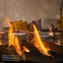 Trimline Fires Trimline 100 Tunnel Gas Kamineinsatz G30/G31 V2021 -Angebote Kamdi24 Store trimline fires trimline 100 tunnel gas kamineinsatz g30 g31 v2021 25047 m 2