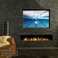 Trimline Fires Trimline 170 Front Gas Kamineinsatz G30/G31