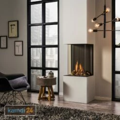 Trimline Fires Trimline 38 Panorama AR Gas Kamineinsatz G30/G31