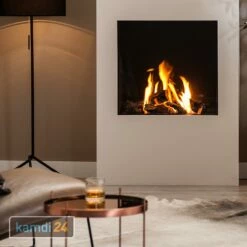 Trimline Fires Trimline 73H Front Gas Kamineinsatz G20/G25