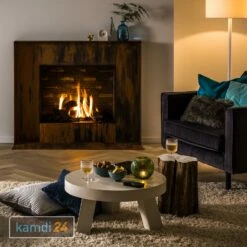 Trimline Fires Trimline 83 Front Gas Kamineinsatz G20