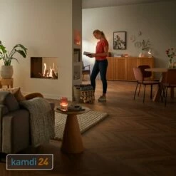 Trimline Fires Trimline 83 Tunnel AR Gas Kamineinsatz G30/G31 -Angebote Kamdi24 Store trimline fires trimline 83 tunnel ar gas kamineinsatz g30 g31 19428 m 3