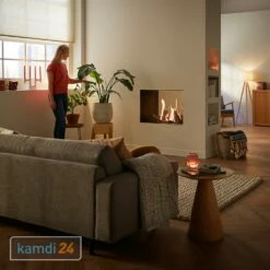 Trimline Fires Trimline 83 Tunnel AR Gas Kamineinsatz G30/G31 -Angebote Kamdi24 Store trimline fires trimline 83 tunnel ar gas kamineinsatz g30 g31 19428 m 4