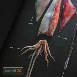 Yakiniku Shichirin Kochbuch Japanischer Grill -Angebote Kamdi24 Store yakiniku shichirin kochbuch japanischer grill 22973 m 9